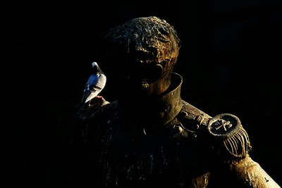 The Hero and the Dove