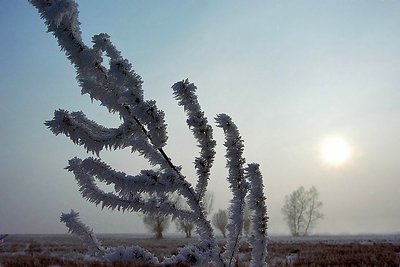 A bit winter