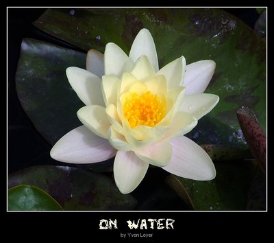 On Water