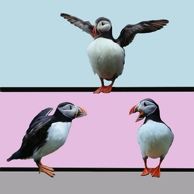 Huffin Puffins