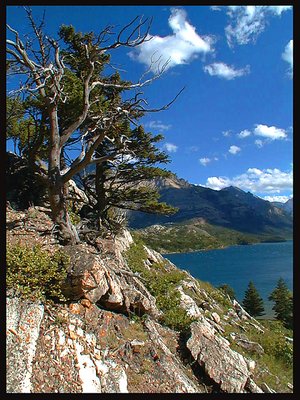 Waterton Lake Park