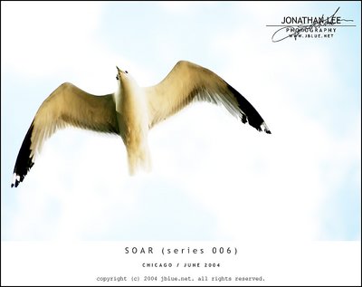 Soar (series 006)