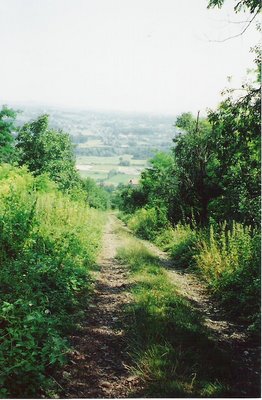 Down the Trail