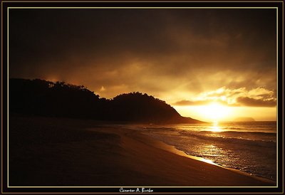 Golden brazilian sunrise 