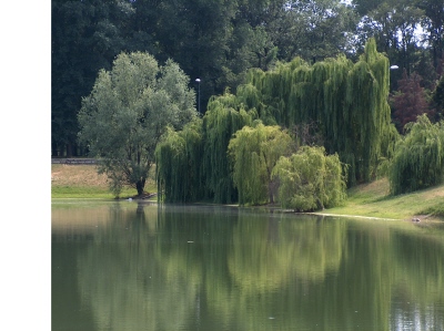 Just green
