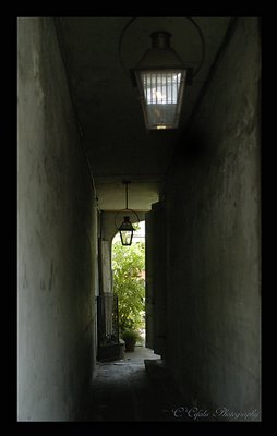 The Alley