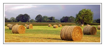 First bales of summer…