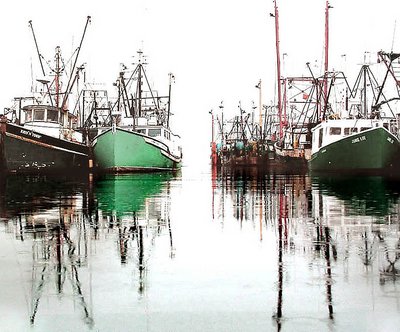 fishing fleet