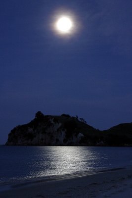 Coromandel Moon