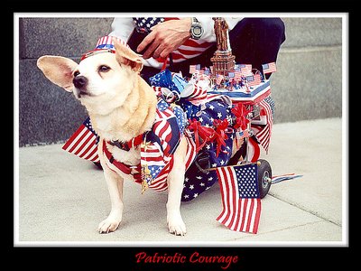 Patriotic Courage