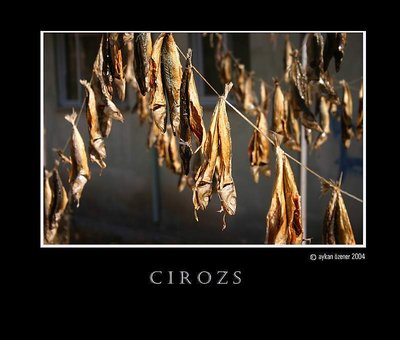 Cirozs