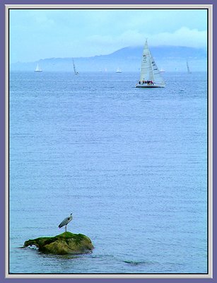 A coastal view