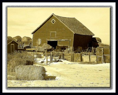 Old..old..Prairie Cattle Barn!