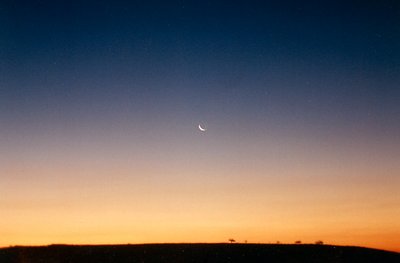 Dawn gradient