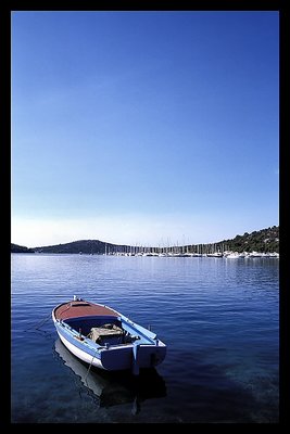 a boat without a tree