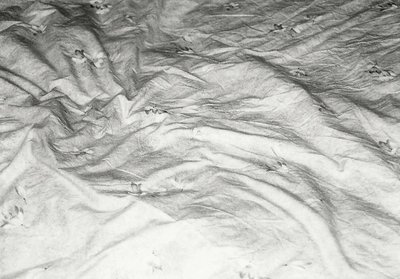 Bedsheets4