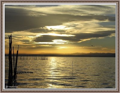 Albufera 2