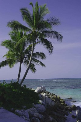 bahama
