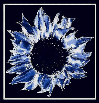 Constellation Sunflower