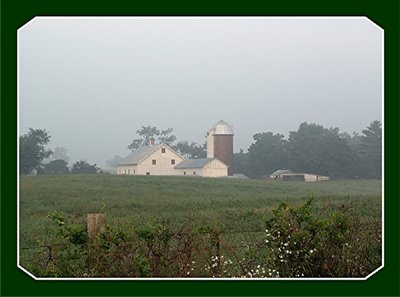 Foggy Virginia Farm