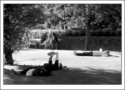 Reading in the shade