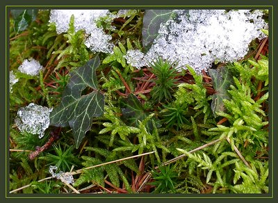 Composition in green, brown and white