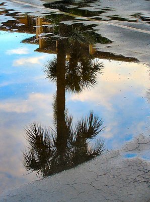 Rainshower Reflection