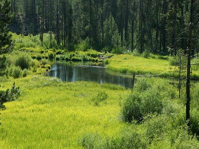 Deschutes River