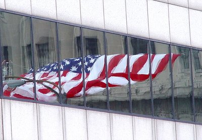 Reflections on the flag