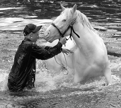 Boy and horse