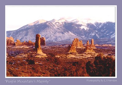 Purple Mountain's Majesty