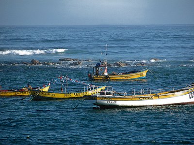 FISHERMAN BOATS