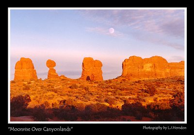 Moonrise Over Canyonlands