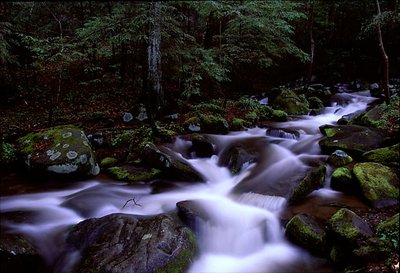 Little Pigeon River