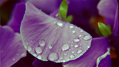 water drops