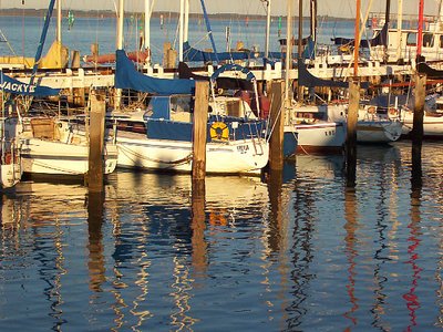 Stoney Point Marina