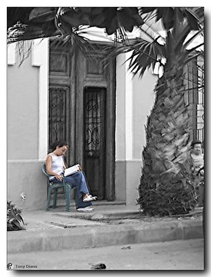 Lectora