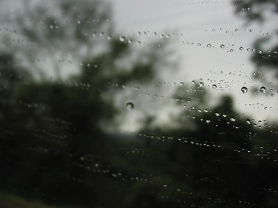 some.drops