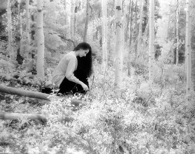 Marti In The Forest (IR)