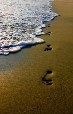 Foot Prints Washed Away