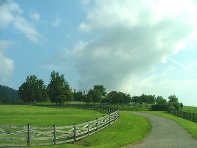 The House on the Hill