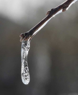 Frozen Droplet