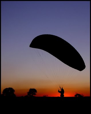 Learning to Fly