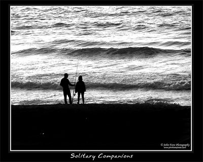 Solitary Companions