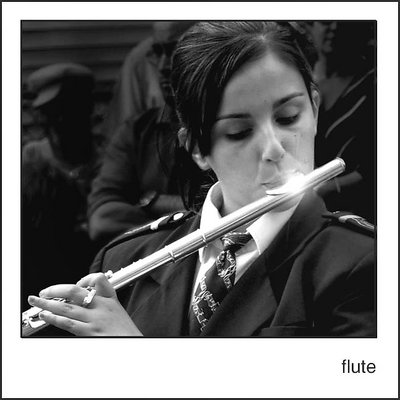 flute