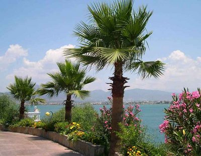 Fethiye