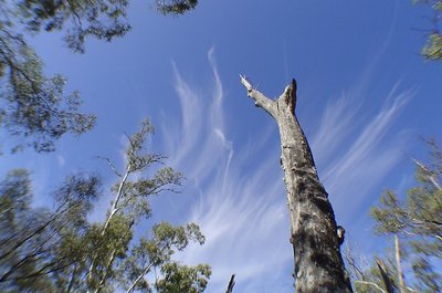 Cirrus