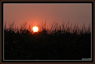 Sunset over Corn