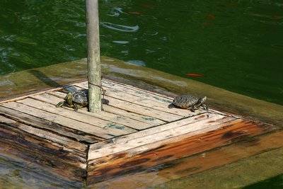 Shipwreck