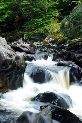 Afon Conwy#2